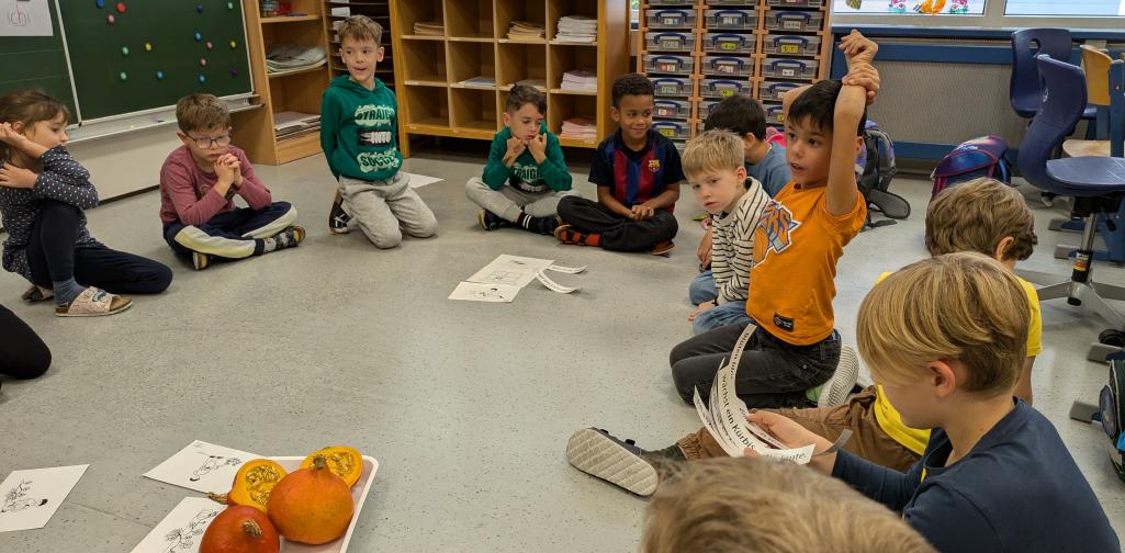 1. Klasse Der Kürbis zum angreifen