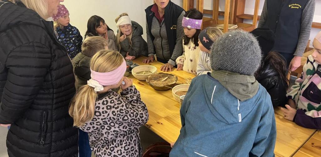 Brot backen 2.Klasse